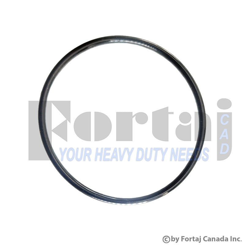 Cummins ISX Water Pump Gasket/O-Ring