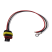 Pigtail